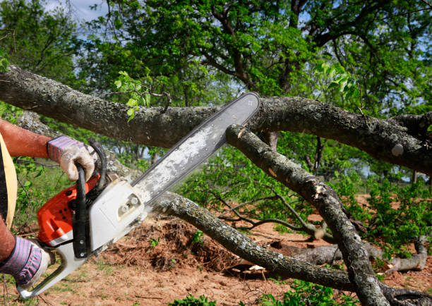 Lawn Irrigation Installation and Maintenance in Cataula, GA